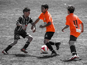 米兰体育网页版登陆-中国足球场上移动方向数据建模,足球场上的数学建模