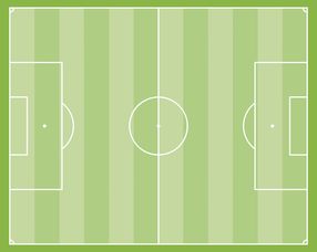 米兰体育官方网址入口-中国足球场地适应性影响因素,足球场地分析