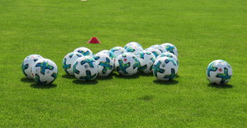 米兰体育官方网址入口-中国足球场地适应性影响因素,足球场地分析