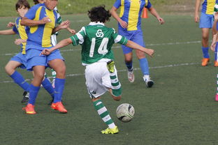 米兰体育-中国足球外援依赖度趋势分析,中国足球外援依赖度趋势分析图