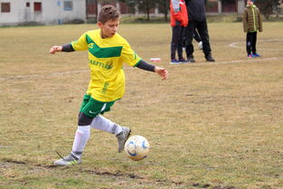 米兰全站app登录app-中国足球大赛准备期训练强度曲线分析，2021年中国足球试训